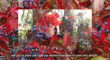 Lydmor: The Gadget Song