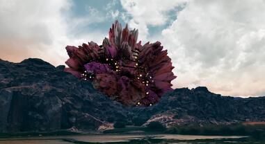 Fluqx