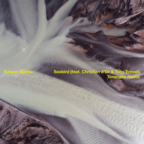 Kasper Bjørke Seabird (feat. Christian D'Or & Toby Ernest) Tensnake Remix